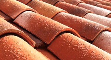 Nettoyage et traitement hydrofuge de toiture 06